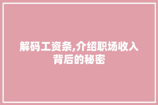 解码工资条,介绍职场收入背后的秘密