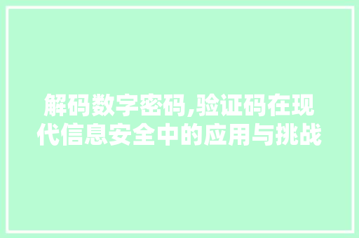 解码数字密码,验证码在现代信息安全中的应用与挑战