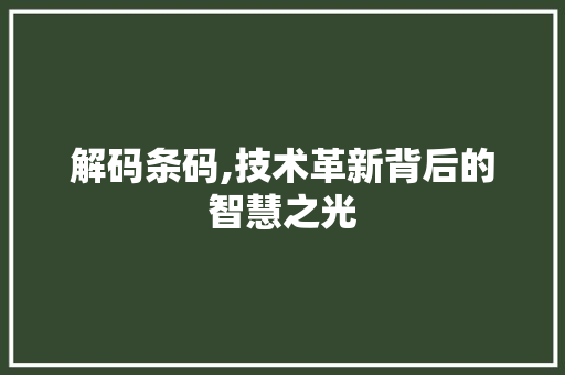 解码条码,技术革新背后的智慧之光