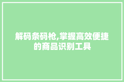 解码条码枪,掌握高效便捷的商品识别工具