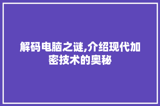 解码电脑之谜,介绍现代加密技术的奥秘