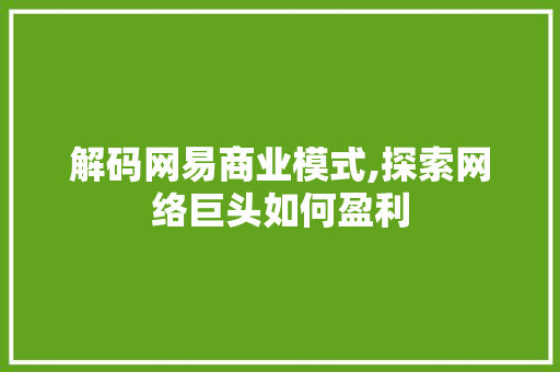 解码网易商业模式,探索网络巨头如何盈利