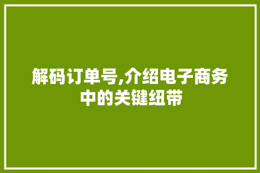 解码订单号,介绍电子商务中的关键纽带