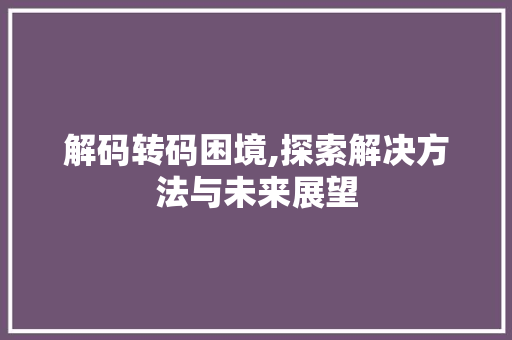 解码转码困境,探索解决方法与未来展望