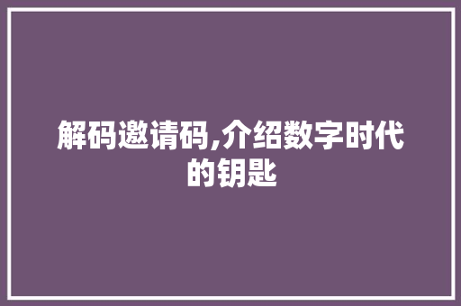 解码邀请码,介绍数字时代的钥匙