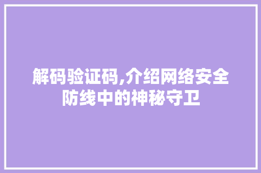 解码验证码,介绍网络安全防线中的神秘守卫