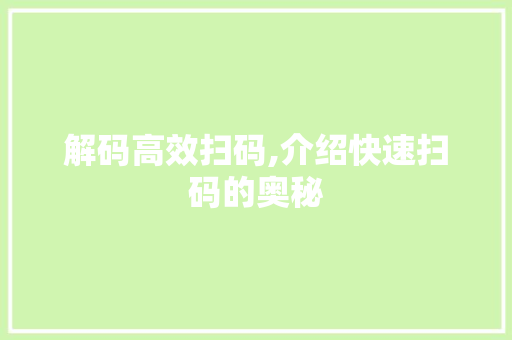 解码高效扫码,介绍快速扫码的奥秘