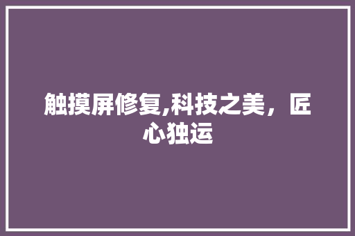 触摸屏修复,科技之美，匠心独运