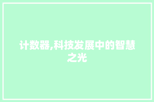 计数器,科技发展中的智慧之光
