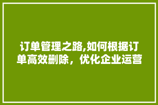 订单管理之路,如何根据订单高效删除，优化企业运营效率