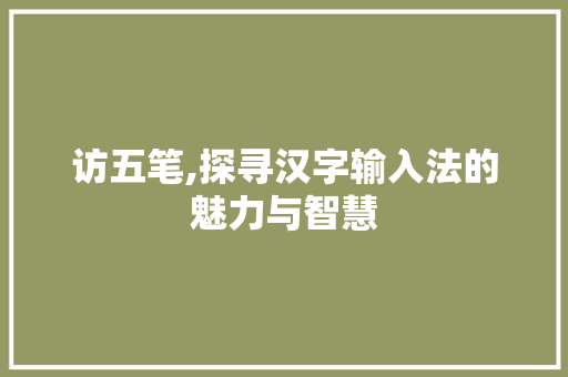 访五笔,探寻汉字输入法的魅力与智慧
