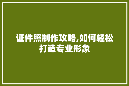 证件照制作攻略,如何轻松打造专业形象 友链在线