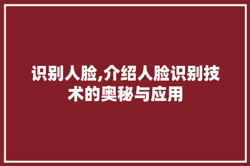 识别人脸,介绍人脸识别技术的奥秘与应用