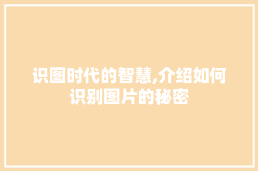 识图时代的智慧,介绍如何识别图片的秘密 WordPress教程