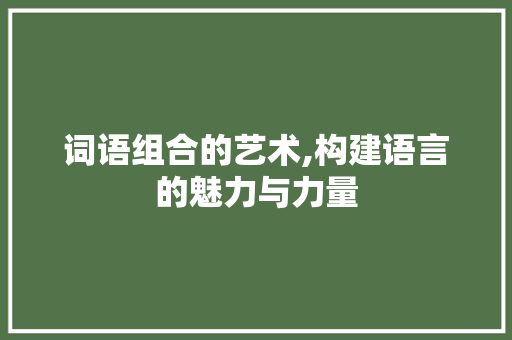 词语组合的艺术,构建语言的魅力与力量 建站教程