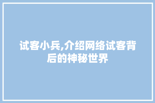 试客小兵,介绍网络试客背后的神秘世界