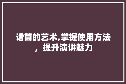 话筒的艺术,掌握使用方法，提升演讲魅力 WordPress教程
