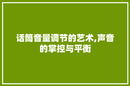 话筒音量调节的艺术,声音的掌控与平衡 Web前端