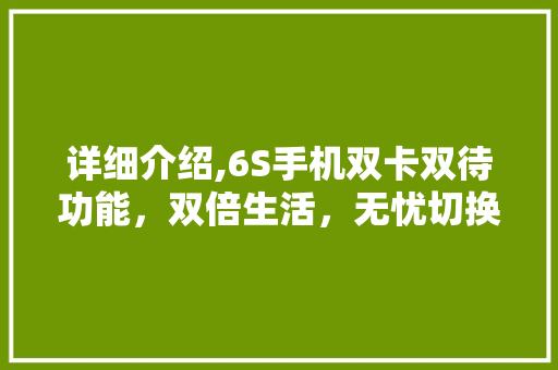 详细介绍,6S手机双卡双待功能，双倍生活，无忧切换