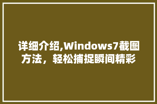 详细介绍,Windows7截图方法，轻松捕捉瞬间精彩