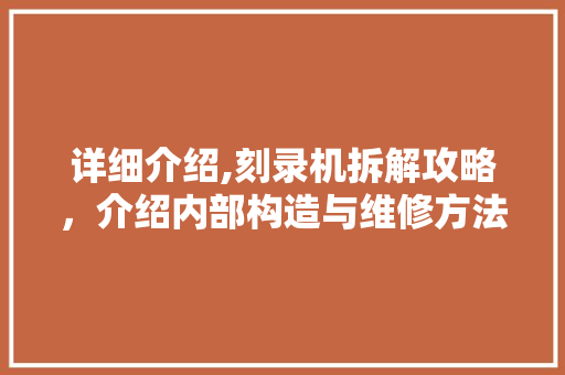 详细介绍,刻录机拆解攻略，介绍内部构造与维修方法