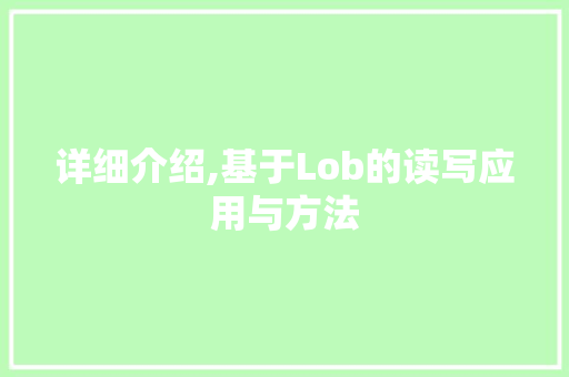 详细介绍,基于Lob的读写应用与方法