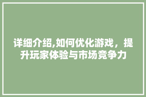 详细介绍,如何优化游戏，提升玩家体验与市场竞争力