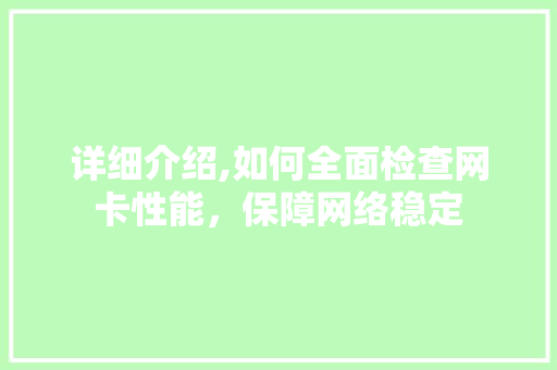 详细介绍,如何全面检查网卡性能，保障网络稳定