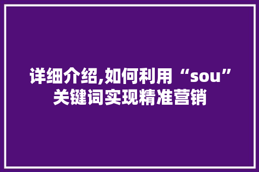 详细介绍,如何利用“sou”关键词实现精准营销
