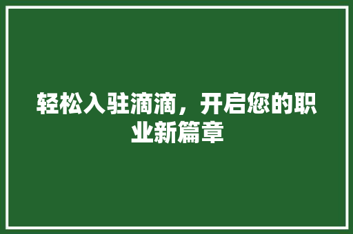 轻松入驻滴滴，开启您的职业新篇章 WordPress教程