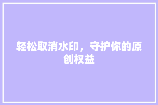 轻松取消水印，守护你的原创权益