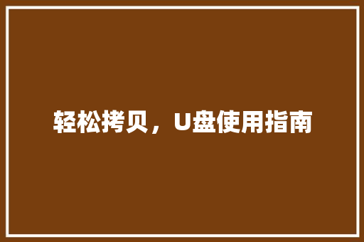 轻松拷贝，U盘使用指南