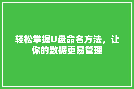 轻松掌握U盘命名方法，让你的数据更易管理