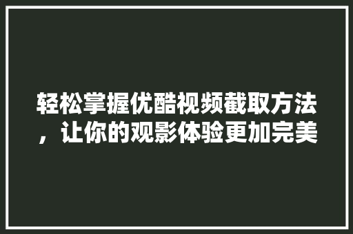 轻松掌握优酷视频截取方法，让你的观影体验更加完美