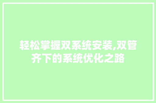 轻松掌握双系统安装,双管齐下的系统优化之路 Web前端