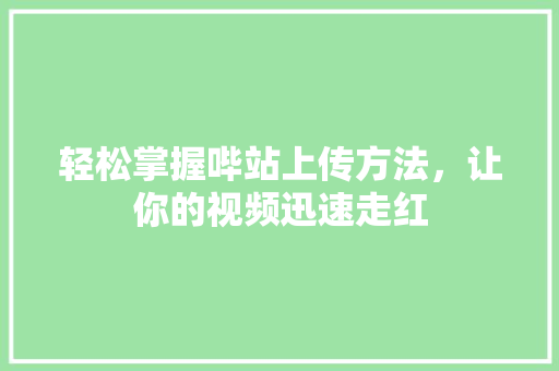 轻松掌握哔站上传方法，让你的视频迅速走红 服务器/数据库