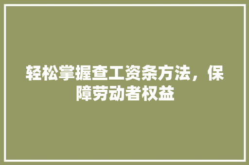 轻松掌握查工资条方法，保障劳动者权益