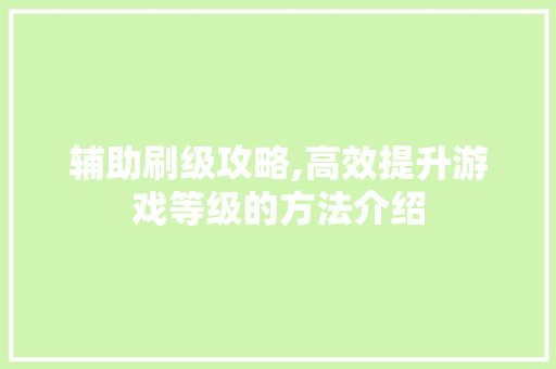 辅助刷级攻略,高效提升游戏等级的方法介绍