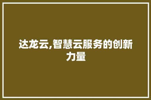 达龙云,智慧云服务的创新力量