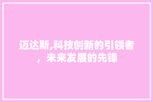 迈达斯,科技创新的引领者，未来发展的先锋