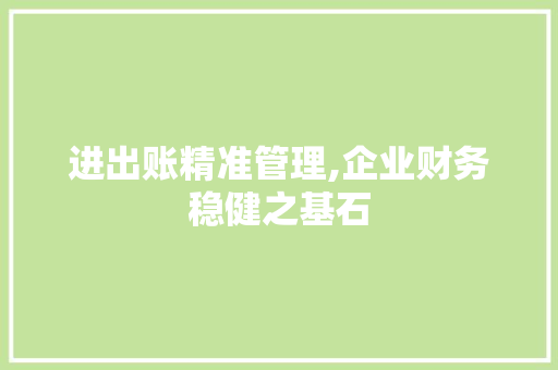 进出账精准管理,企业财务稳健之基石