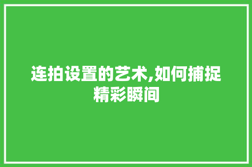 连拍设置的艺术,如何捕捉精彩瞬间
