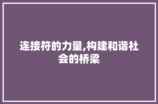 连接符的力量,构建和谐社会的桥梁
