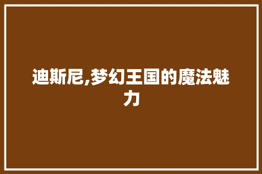迪斯尼,梦幻王国的魔法魅力