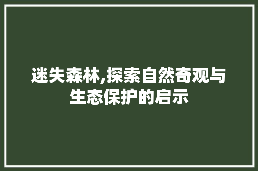 迷失森林,探索自然奇观与生态保护的启示 Web前端