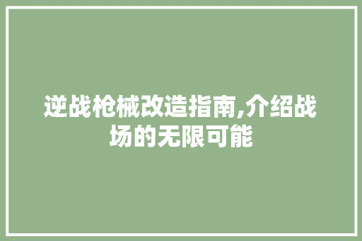 逆战枪械改造指南,介绍战场的无限可能 建站教程