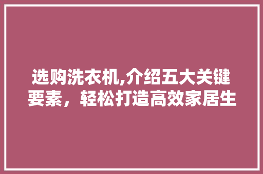 选购洗衣机,介绍五大关键要素，轻松打造高效家居生活