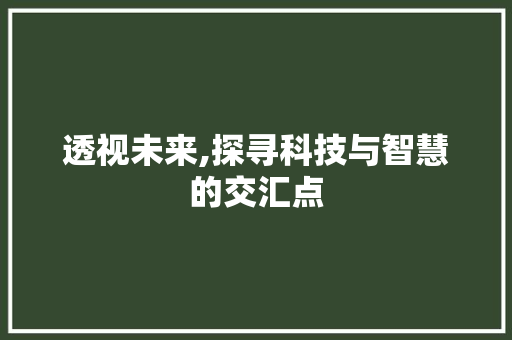 透视未来,探寻科技与智慧的交汇点 WordPress教程