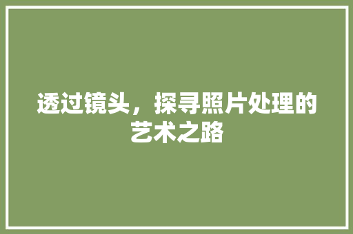 透过镜头，探寻照片处理的艺术之路 服务器/数据库