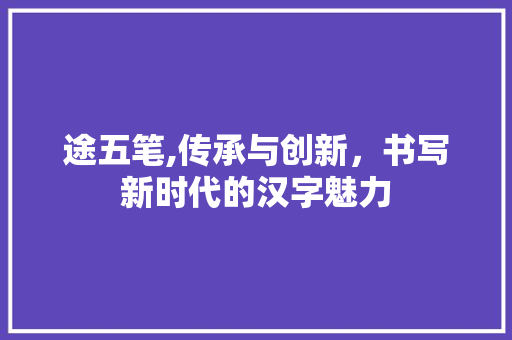 途五笔,传承与创新，书写新时代的汉字魅力 SEO教程